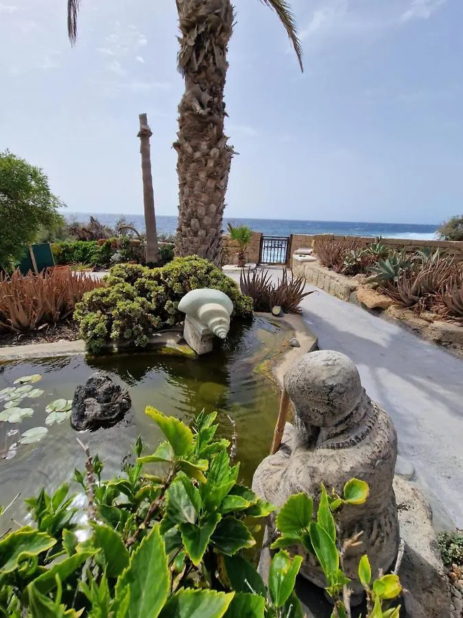Little Paradise In El Medano Granadilla De Abona Apartment